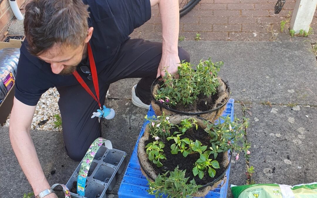 Happy headlines from Two Saints (June)