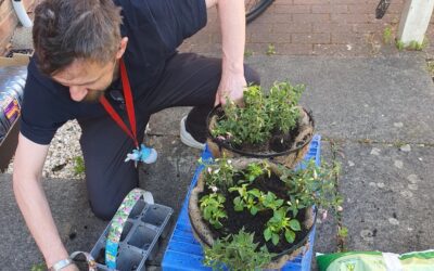 Happy headlines from Two Saints (June)